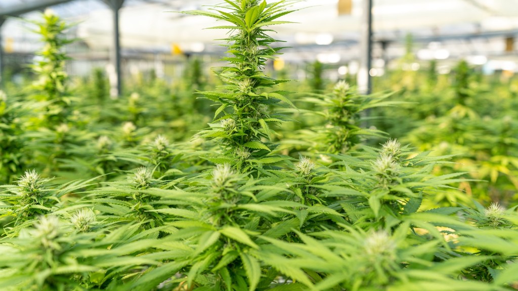 Is Marijuana Legal In Maryland Recreational